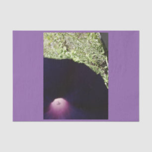 Purple Floral Custom Tissue Paper