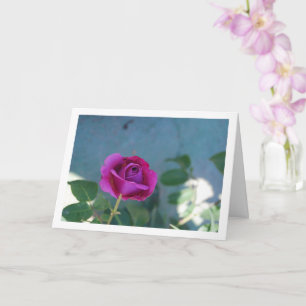 Purple Floral Garden Rose Card