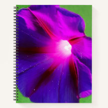 Purple Floral