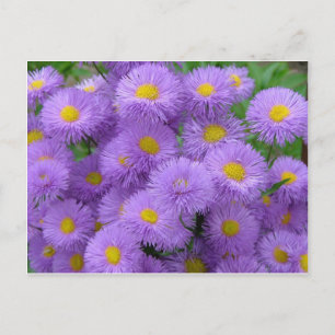 Purple Floral Postcard