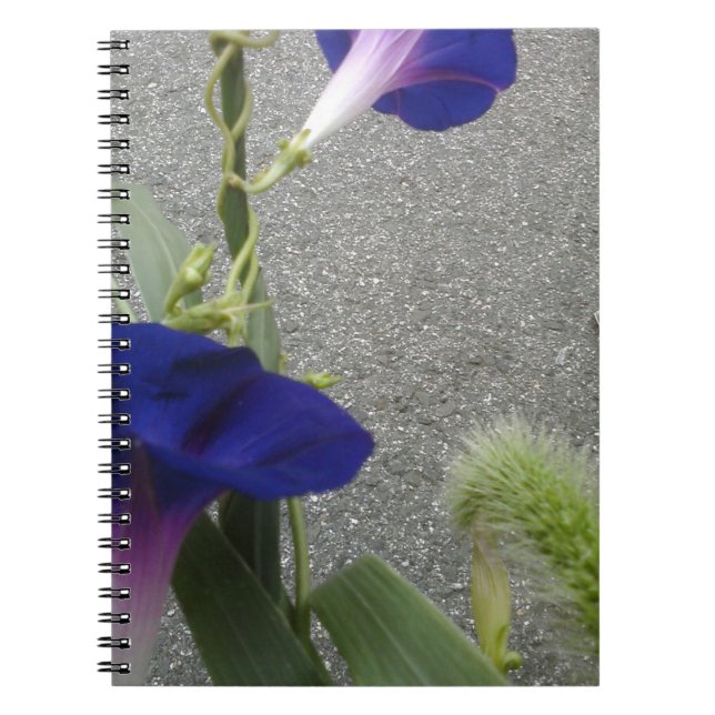 Purple Floral Spiral Notebook (Front)