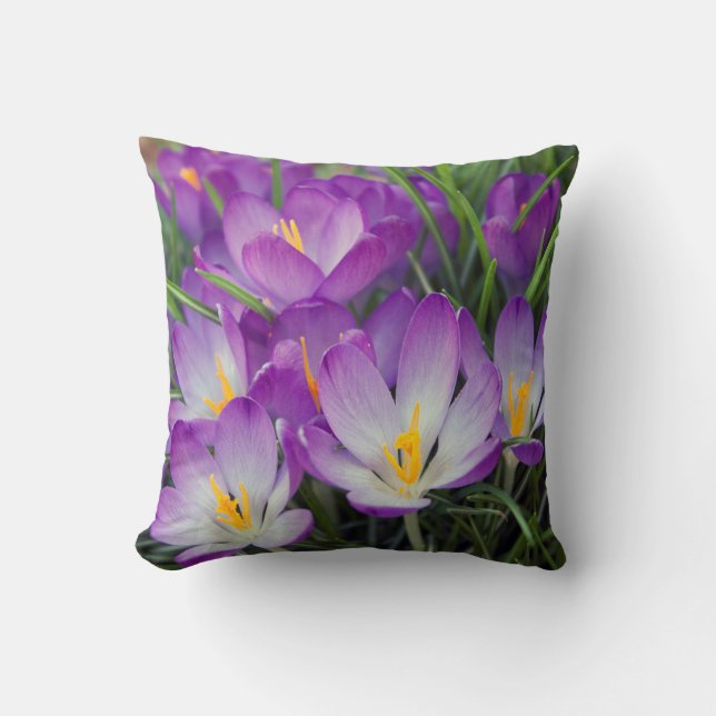 Purple Floral Spring Crocus Flowers Pillow (Front)