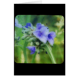 Purple Floral TTV