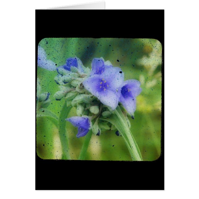 Purple Floral TTV (Front)