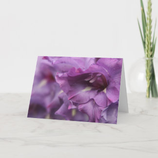Purple Florals Greeting Card