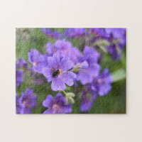 Purple Flower and Bee Nature Photography Garden