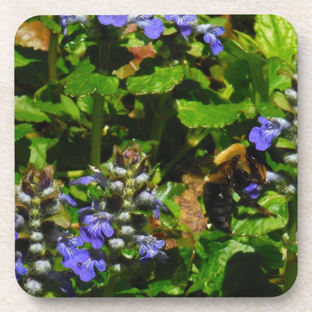 Purple Flower and Bumble Bee Coaster (Front)