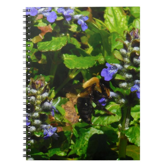 Purple Flower and Bumble Bee Notebook (Front)
