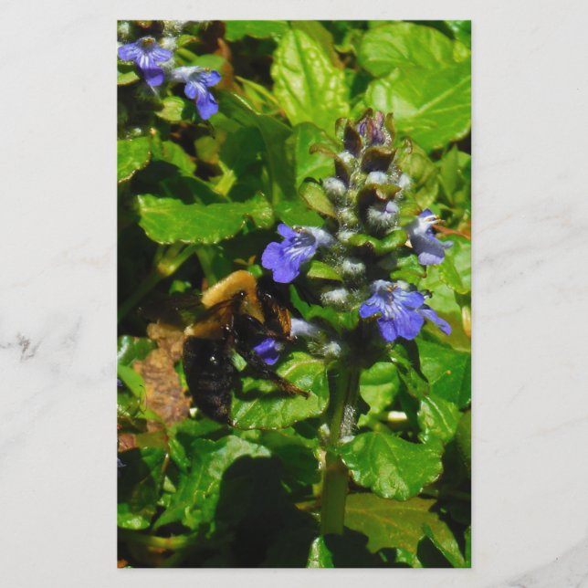 Purple Flower and Bumble Bee Stationery (Front)