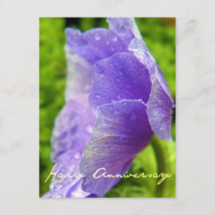 Purple Flower Anniversary Postcard