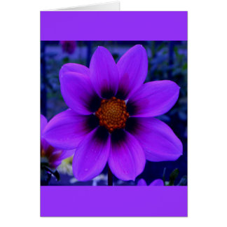 Purple Flower at Dusk Card