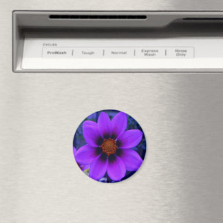 Purple Flower at Dusk Magnet