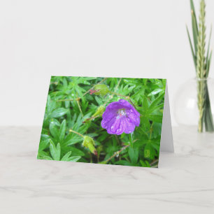 Purple Flower Blank Card