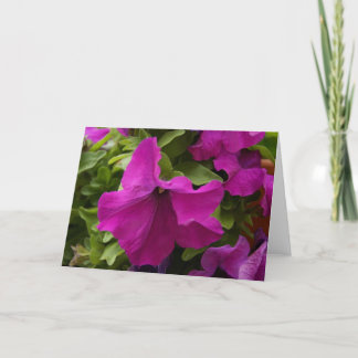 Purple Flower Card