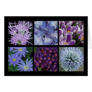 Purple Flower Card