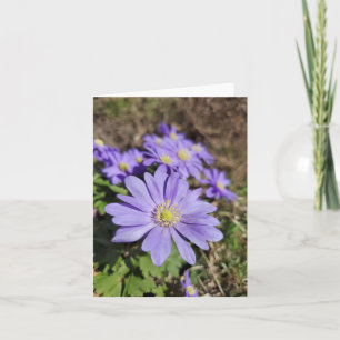Purple flower card