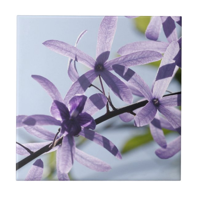Purple Flower Ceramic Tile (Front)