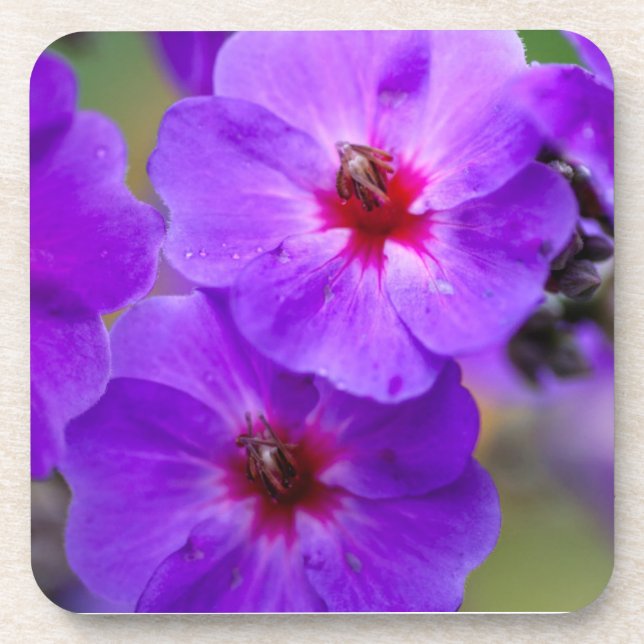 Purple flower coaster (Front)