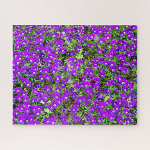 Purple Flower Garden (*Challenging) Jigsaw Puzzle