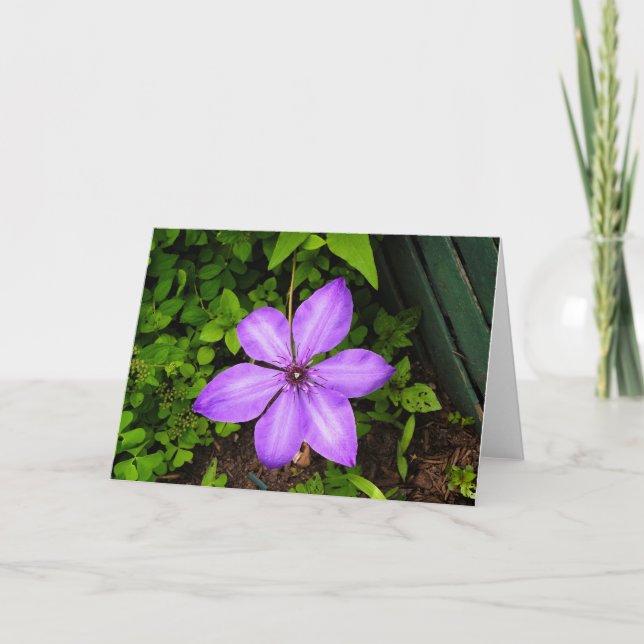 Purple flower greeting card (Front)