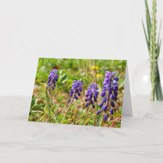 Purple Flower Greeting Card