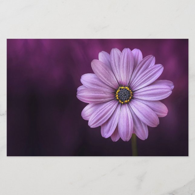 Purple Flower in Bloom Stationery (Front)