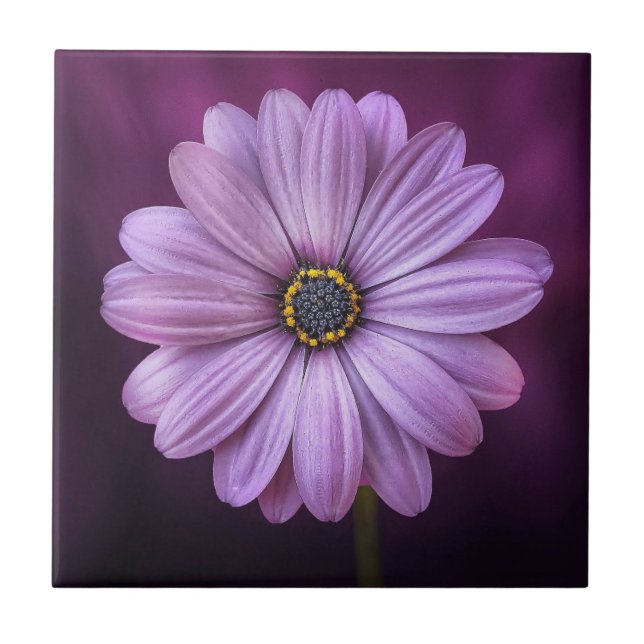 Purple Flower in Bloom Tile (Front)