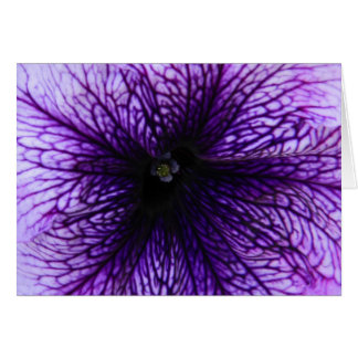 Purple flower macro photography