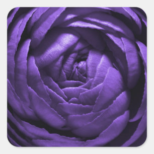 Purple Flower Macro Shot Square Sticker