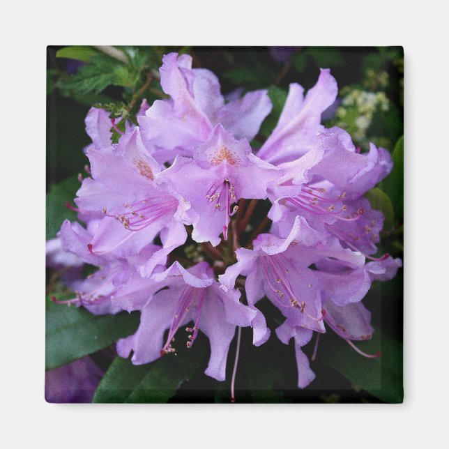 Purple Flower Magnet (Front)