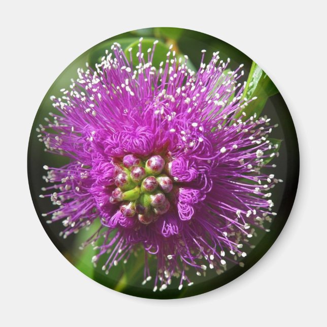 purple flower magnet (Front)