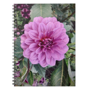 Purple Flower Notebook