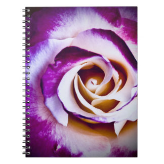 Purple Flower Notebook
