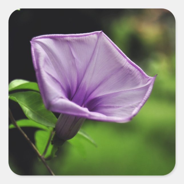 Purple Flower on Green Background Square Sticker (Front)