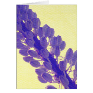 Purple Flower on Yellow