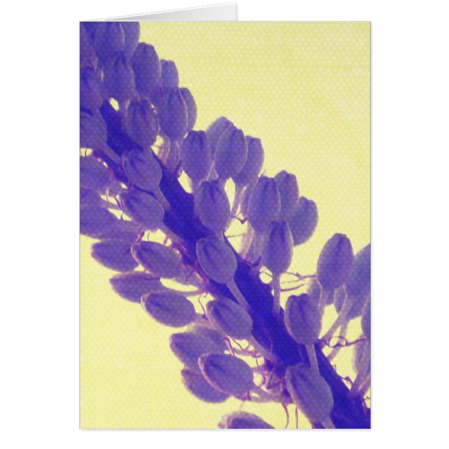 Purple Flower on Yellow (Front)