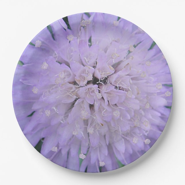 Purple flower paper plate (Front)