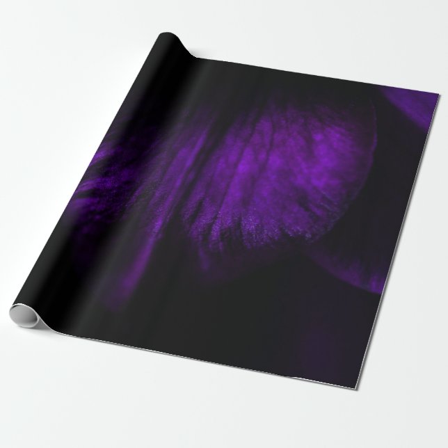 Purple flower petal wrapping paper (Unrolled)