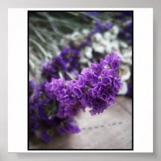 Purple Flower Poster