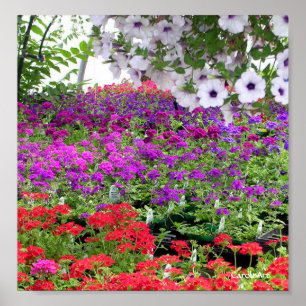 Purple Flower Profusion Print