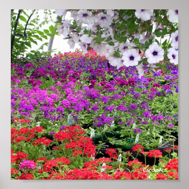 Purple Flower Profusion Print (Front)