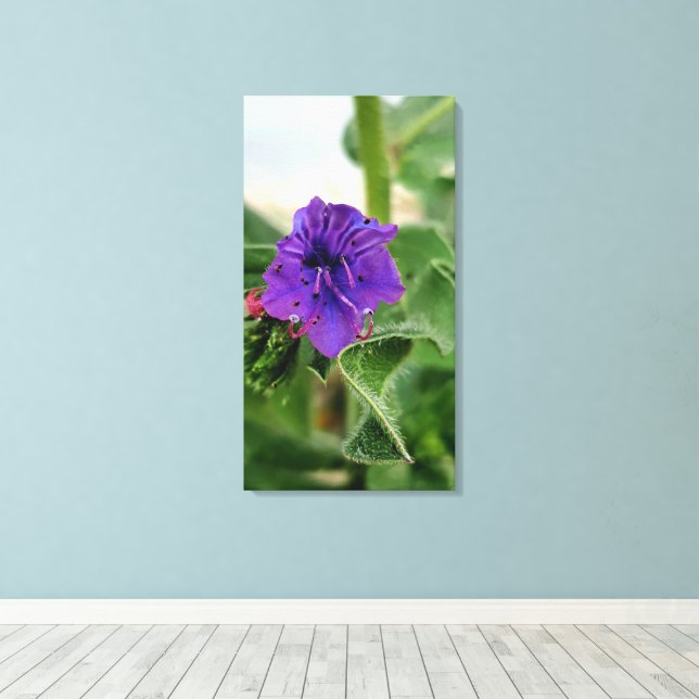 Purple flower spring flora collection canvas print (Insitu(Wood Floor))