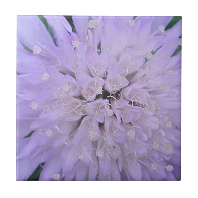 Purple flower tile (Front)