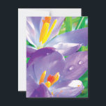 Purple Flower With Dew Elegant Nature Postcard<br><div class="desc">A dew covered crocus rejoices in the morning light in this beautiful, sensual, spring flower postcard. Such a playful little flower. If I didn't know better, I'd say she was flirting. Postcard Prints are high end, sturdy and glossy, but only on the photo side. The back is a traditional matte...</div>