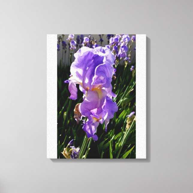 Purple Flowers Canvas Print (Front)