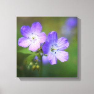 Purple Flowers Canvas Print