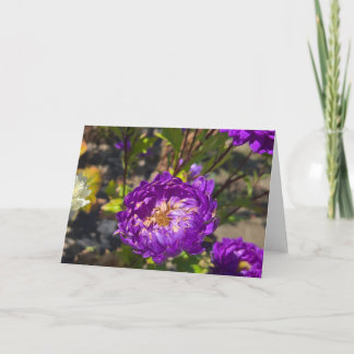 Purple flowers card