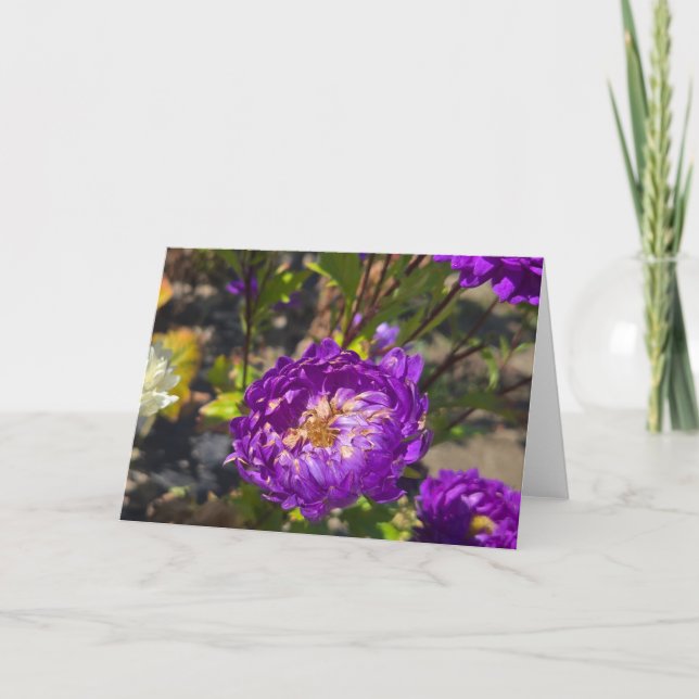 Purple flowers card (Front)