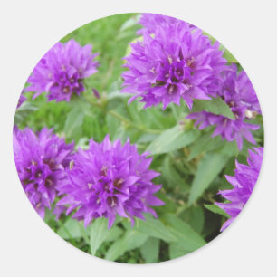 purple flowers classic round sticker