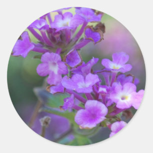 Purple Flowers Classic Round Sticker